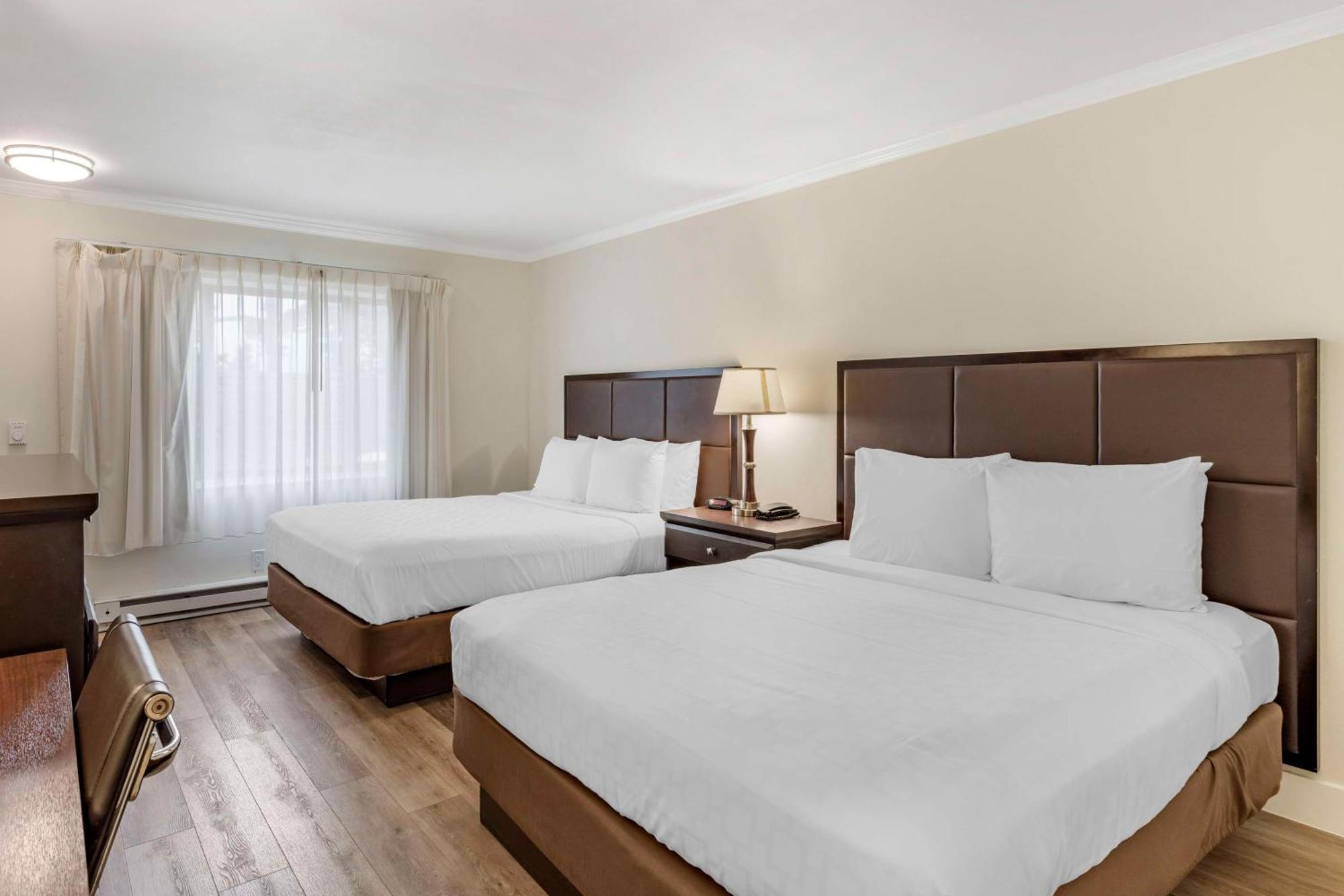 Queen Room Two Queen Beds